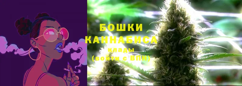 Шишки марихуана White Widow  Вытегра 